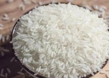 The Rice Capital Of India: भारत में सबसे ज्यादा चावल कहाँ होता है? जानिए क्यों पश्चिम बंगाल है देश का सबसे बड़ा राइस प्रोड्यूसर