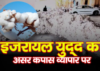 Middle East War बड़वानी ईरान–इजरायल युद्ध का असर कपास व्यापार पर, लागत बढ़ने और निर्यात ठप होने की आशंका