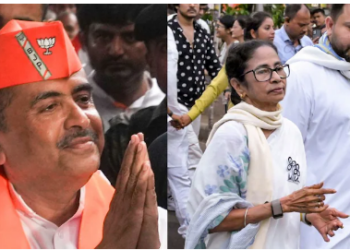 Bengal 15 Year Report Card