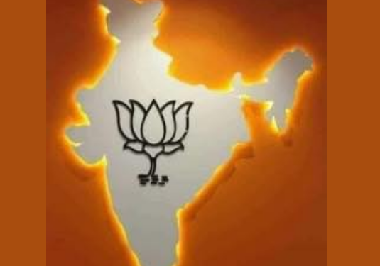 BJP Chief Ministers in 16 States