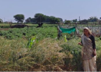 Rohana Kalan woman farmer Pooja Mahore