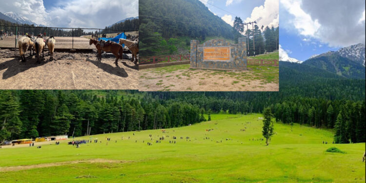 Pahalgam Terror Attack: पहलगाम हमले के एक साल बाद भी बंद बैसरन घाटी: सुरक्षा बनाम रोज़गार के बीच फंसा कश्मीर का पर्यटन