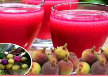 Phalsa