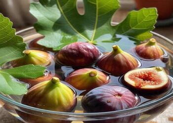 Figs and Health