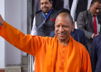 Yogi cabinet expansion