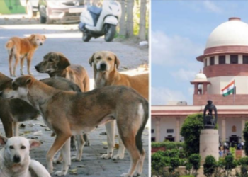 Supreme Court orders