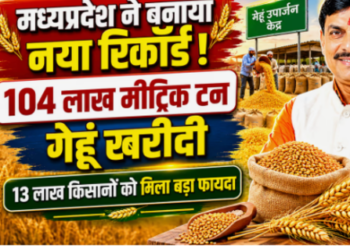 farmers in wheat procurement