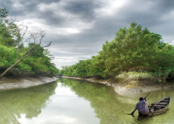 Sundarbans