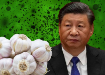 Toxic Chinese garlic