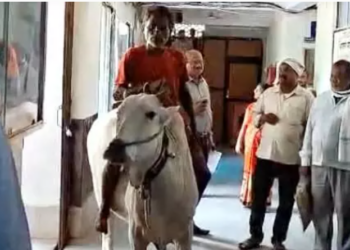 farmers rally featuring bull ride