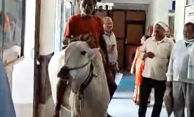 farmers rally featuring bull ride