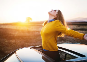 truth about sunroofs