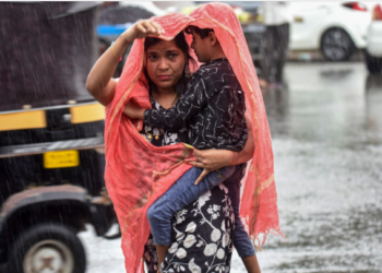 Monsoon arrives Madhya Pradesh