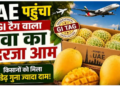 Sundarja Mango GI
