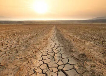 El Nino Alert: मानसून पर मंडराया बड़ा खतरा, किसानों के लिए चुनौती बन सकती हैं ये प्रमुख फसलें