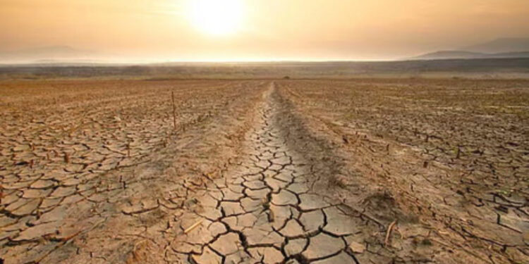 El Nino Alert: मानसून पर मंडराया बड़ा खतरा, किसानों के लिए चुनौती बन सकती हैं ये प्रमुख फसलें
