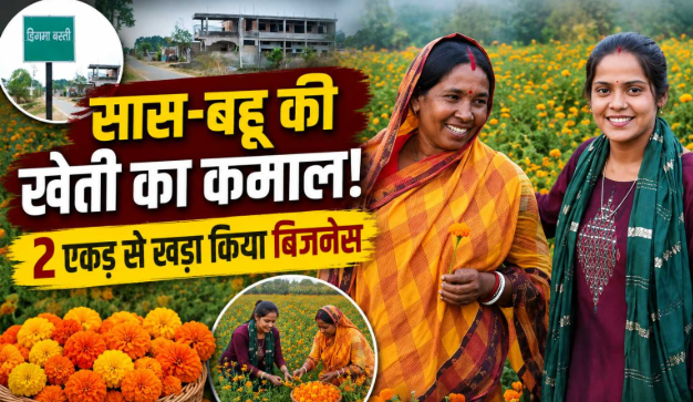 Flower Farming Transforms