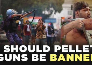 pellet gun