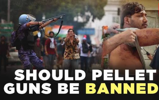 pellet gun
