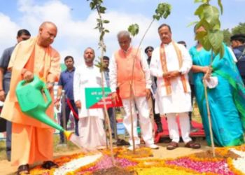 UP Mega Tree Plantation Drive-2026