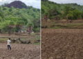 Monsoon shatters farmers
