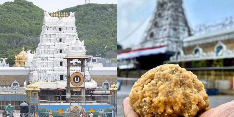 Tirupati Controversy: तिरुपति में श्रीवारी लड्डू की रिकॉर्ड बिक्री, जून में 1.26 करोड़ से ज्यादा प्रसाद वितरित, भक्तों की आस्था ने बनाया नया इतिहास