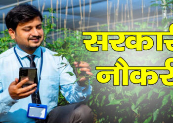 MPESB ने कृषि विस्तार अधिकारी के 2784 पदों पर निकाली बंपर भर्ती, 17 जुलाई तक करें आवेदन, जानें पूरी प्रक्रिया