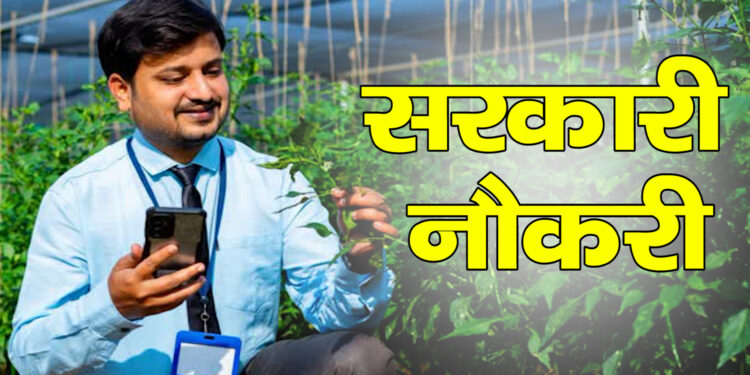 MPESB ने कृषि विस्तार अधिकारी के 2784 पदों पर निकाली बंपर भर्ती, 17 जुलाई तक करें आवेदन, जानें पूरी प्रक्रिया