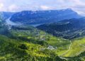 National Ecology Day