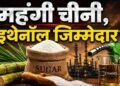 महंगी होती मिठास:एथेनॉल में गन्ने के इस्तेमाल से घटा स्टॉक…40% तक बढ़े दाम …जानें चीनी के बाजार की चाल?  