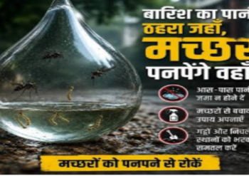 Illness looms with the onset of rains risks rise from mosquitoes to dietary factors
