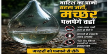 Illness looms with the onset of rains risks rise from mosquitoes to dietary factors