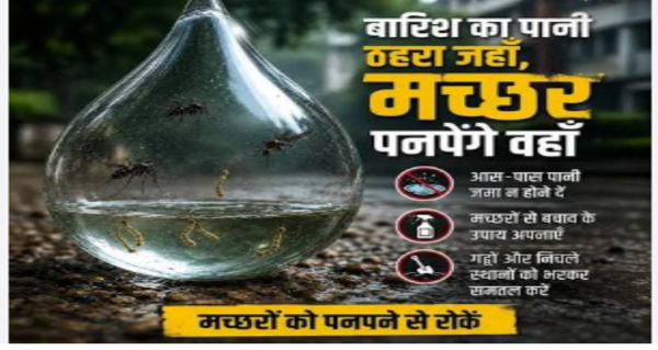 Illness looms with the onset of rains risks rise from mosquitoes to dietary factors
