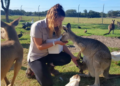 Australian kangaroos