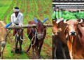 income model beyond traditional farming