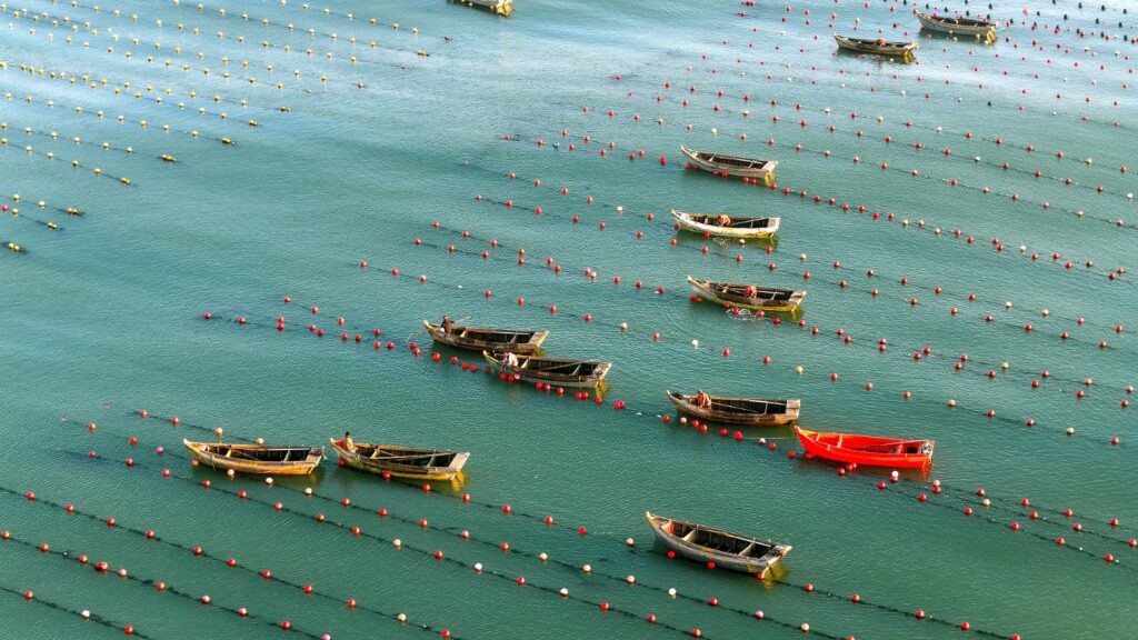 China marine economy saw sustained growth in the first half of the year