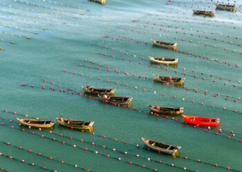 China marine economy saw sustained growth in the first half of the year