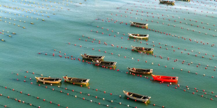 China marine economy saw sustained growth in the first half of the year