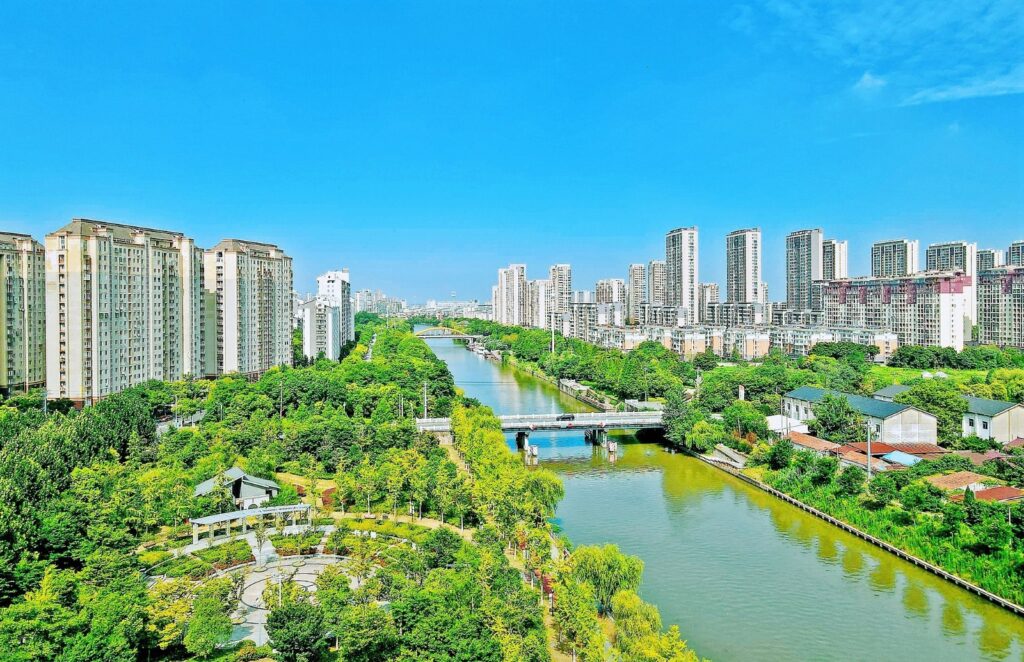 China Path to Green Development #Increasing Forest Cover by 2030 #Taking the Green Economy to New Heights