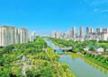 China Path to Green Development #Increasing Forest Cover by 2030 #Taking the Green Economy to New Heights