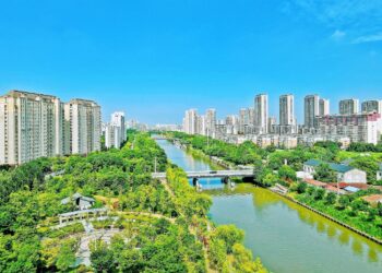 China Path to Green Development #Increasing Forest Cover by 2030 #Taking the Green Economy to New Heights