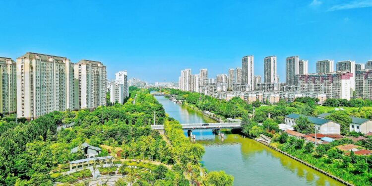 China Path to Green Development #Increasing Forest Cover by 2030 #Taking the Green Economy to New Heights