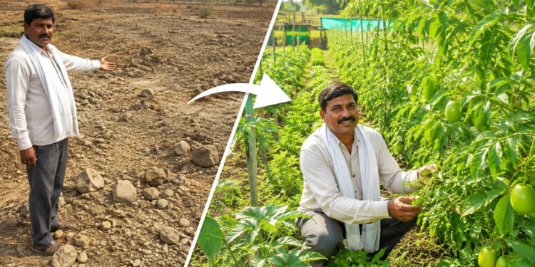 बंजर से बंपर: रोहतास के इस किसान ने बंजर ज़मीन को कैसे बनाया मुनाफे का मॉडल