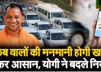 Yogi government