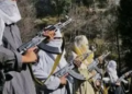 Terrorist camps