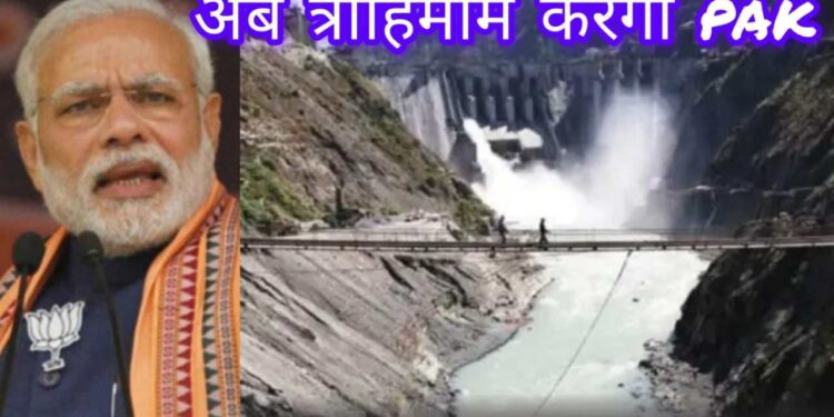 मोदी को फ्रेम से हटाया, अब सिंधु पर हक जताया; पाकिस्तान की भारत नीति का विरोधाभास फिर बेनकाब