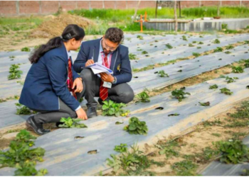 degree in agriculture