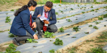 degree in agriculture