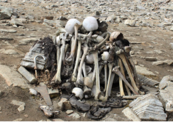 story behind the 42 skeletons dating back 90 years found in Ujjain city of Mahakal
