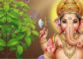 Tulsi not offered Lord Ganesha